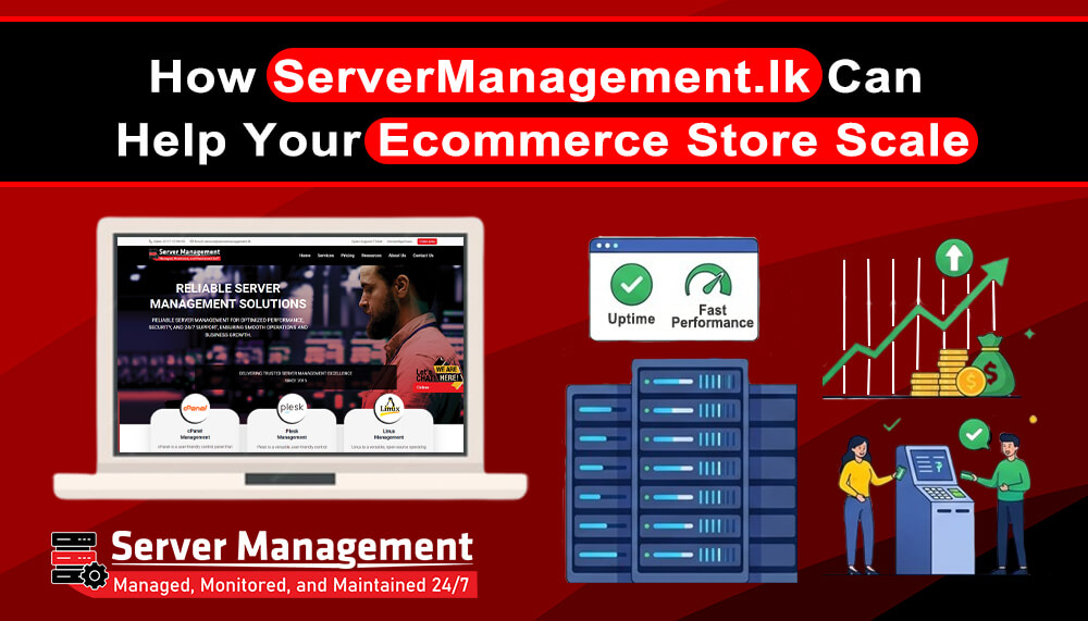 How ServerManagement.lk Can Help Your Ecommerce Store Scale